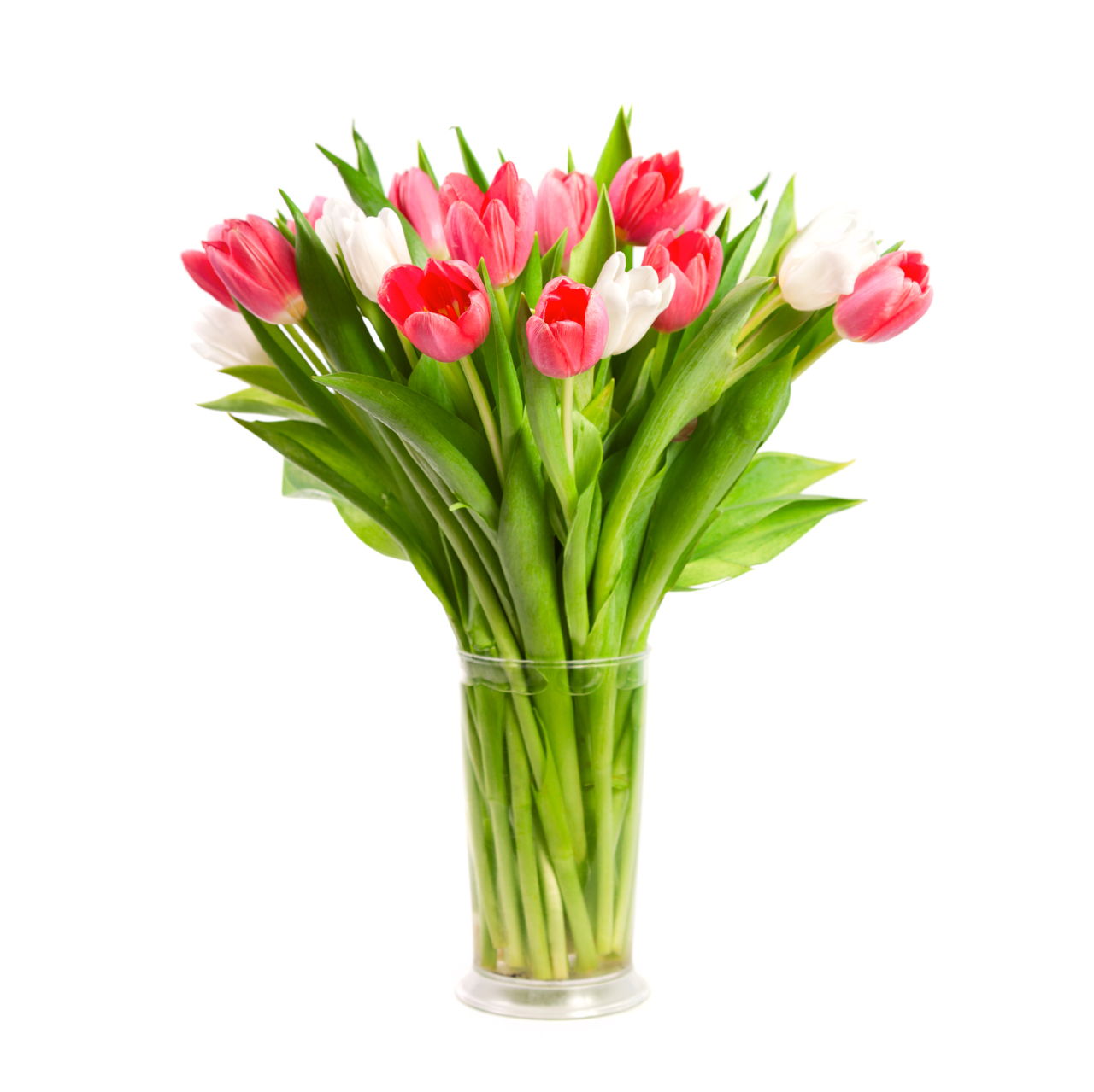What Do Tulips Mean? You'll Be Amazed to Know the Answer - Gardenerdy