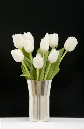Tulips In Vase