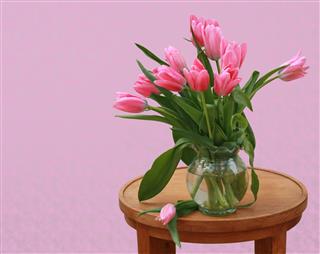 Tulips On Table