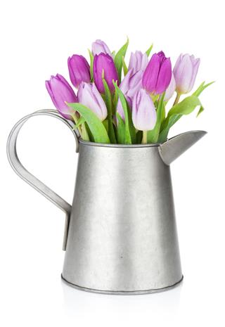 Purple Tulip Bouquet In Watering Can