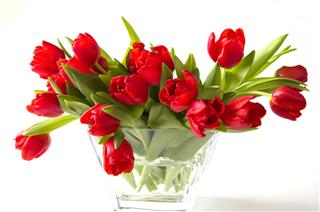 Red Tulips In Vase Of Glass