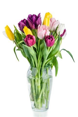 Beautiful Tulips Flowers In Vase