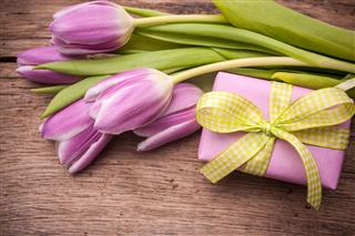 Pink Tulips With A Gift Box