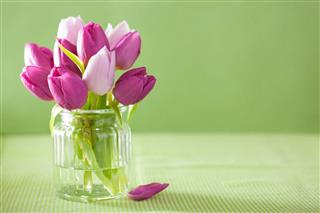 Purple Tulip Flowers Bouquet In Vase