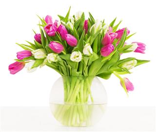 Tulips Flowers Bouquet In Vase