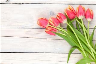 Colorful Tulips On Wooden Table