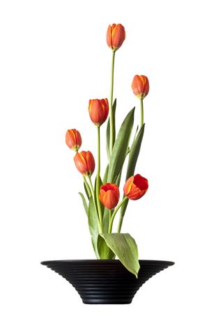 Tulips Ikebana Japanese Flower Arrangement