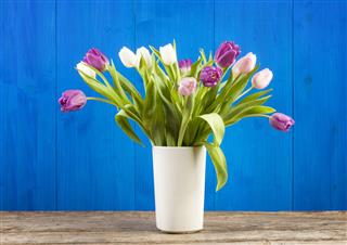Tulip Bouquet In Vase