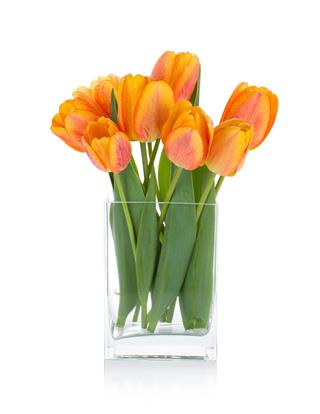Orange Tulips In Flower Bowl