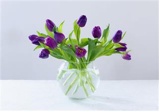 Photo Of Purple Tulips Bouquet