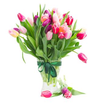 Pink And Violet Tulips Bouquet