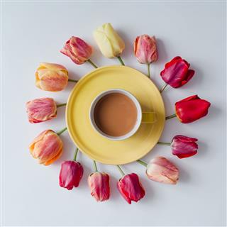 Morning Coffee With Tulip Flowers