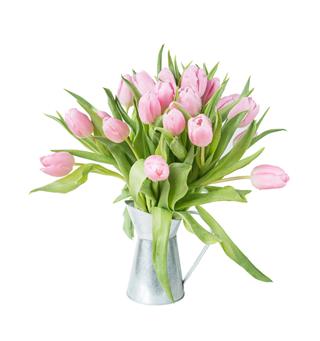 Bouquet Of Pink Tulips