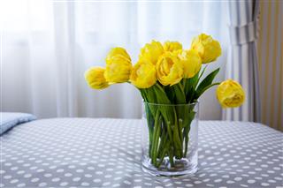 Clear Glass Vase With Yellow Tulips