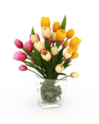 Tulips In A Glass Vase