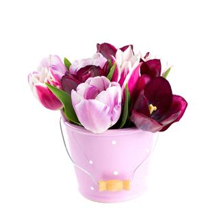Bouquet Of Tulips In A Bucket
