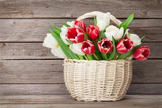 Colorful Tulips Bouquet