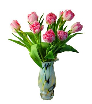 Bouquet Of Pink Tulips