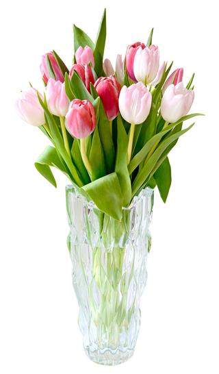 Bouquet Tulips Vase Isolated