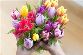Beautiful Bouquet Of Tulips