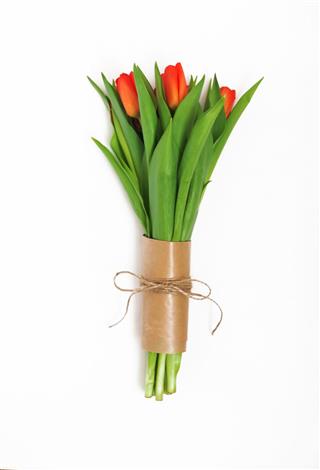 Bouquet Of Red Tulips Packed In Kraft Paper In Retro Style Isolated On White