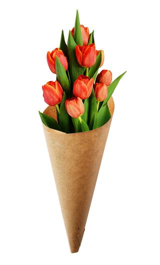 Bouquet Of Red Tulip Flowers