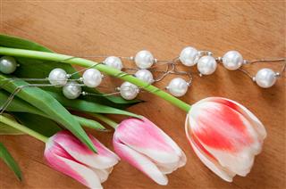 Tulips And White Pearls Lie On The Table