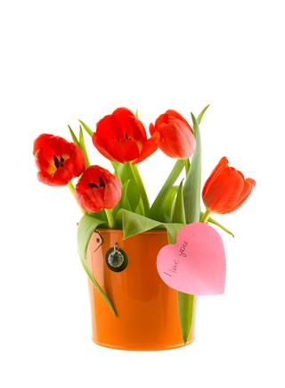Tulips In A Bucket