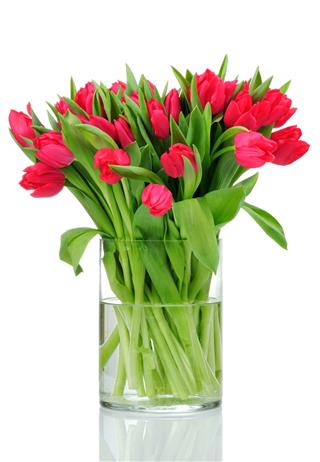 Bouquet Of Red Tulips With Water