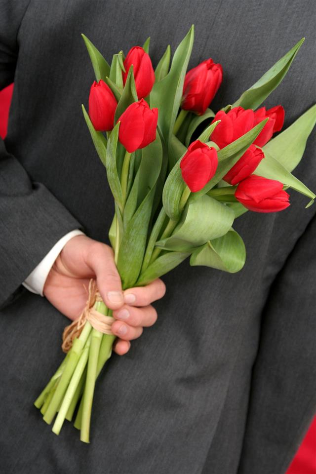 Man Holding Some Red Tulips