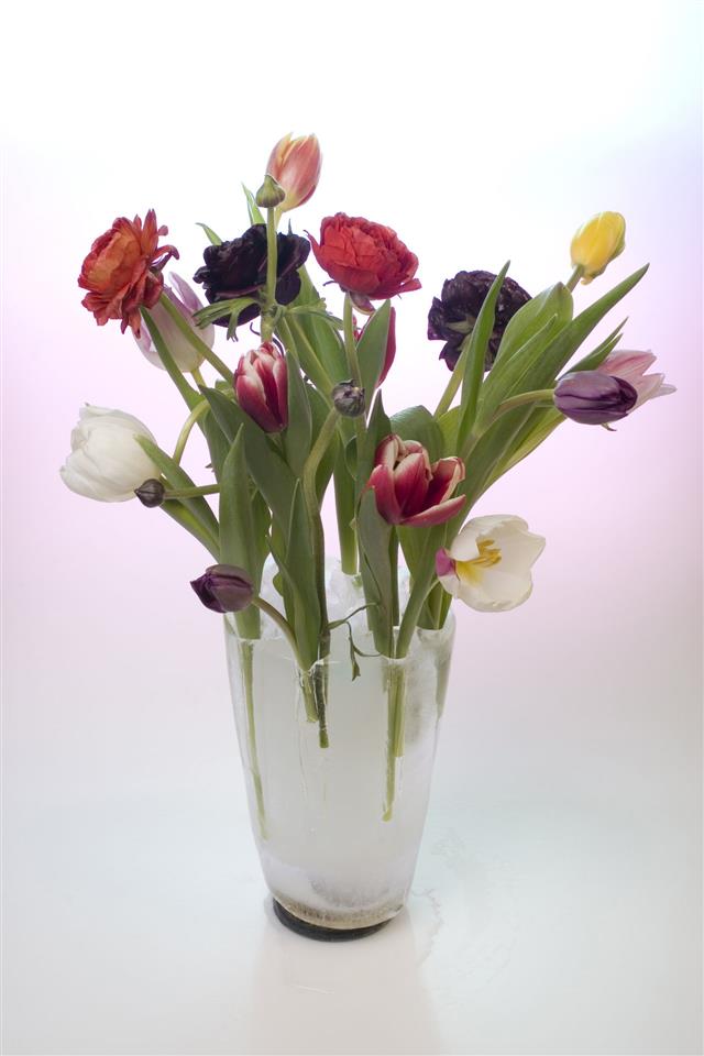 Flowers In An Ice Vase