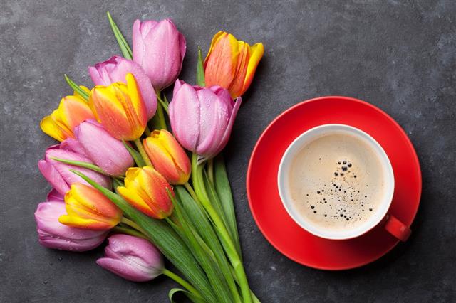 Fresh Colorful Tulip Flowers And Coffee
