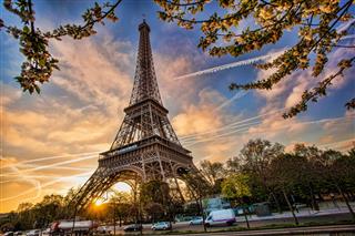 Eiffel Tower During Spring Time