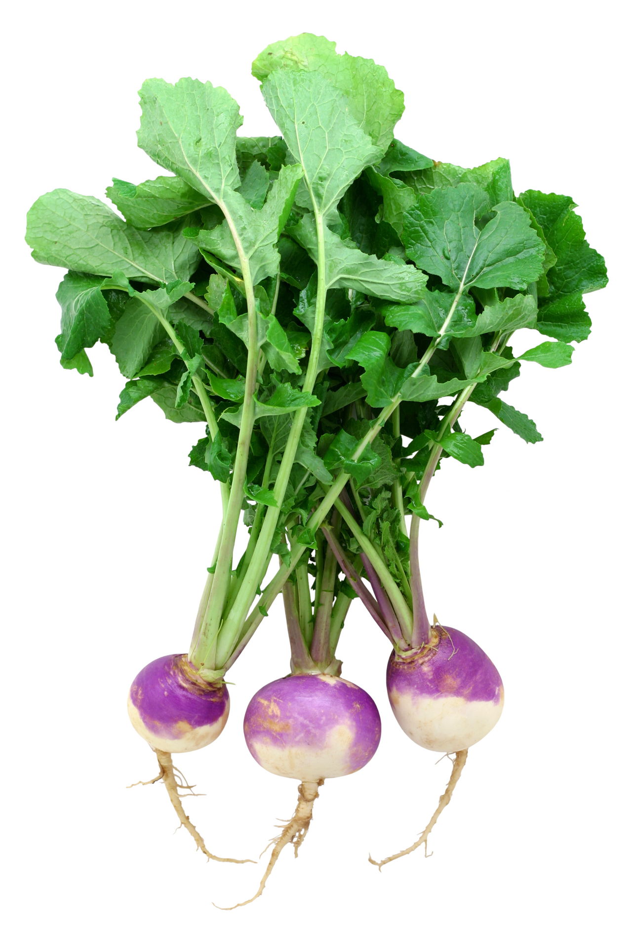 Nutritional Value of Turnip Greens