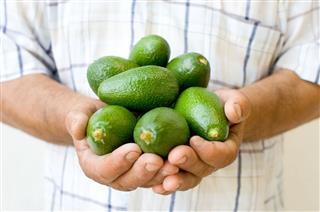Handful Of Avocado