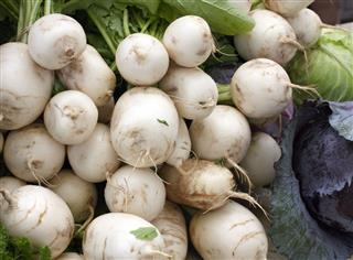 White Turnips