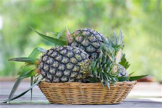 Tropical Pineapple Fruits