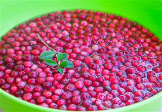 Fresh Organic Cranberry