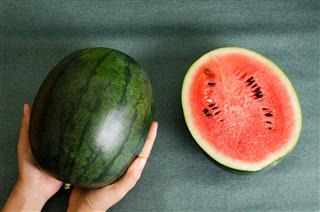 Watermelon Fruit Holding By Hand