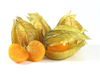 Physalis Fruit
