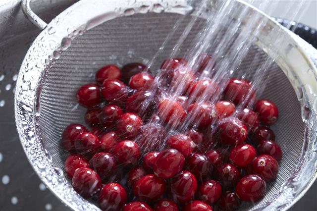 Washing Cranberries