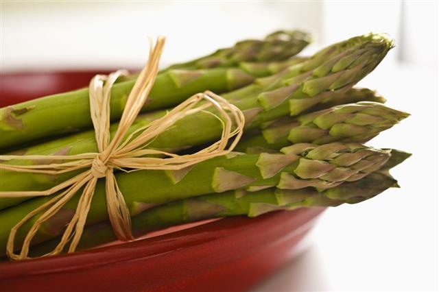 Asparagus In A Red Bowl