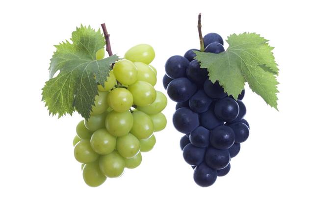 White And Black Grapes