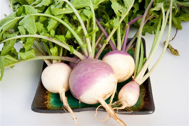 Turnips On A Plate