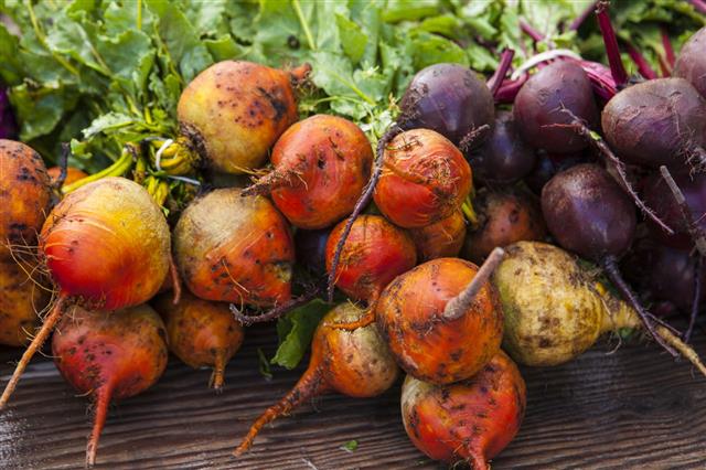 Organic Golden And Purple Beets