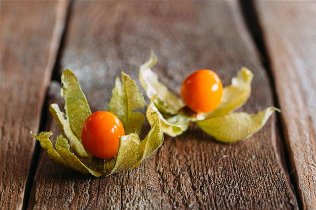 Ripe Physalis On Wooden Background