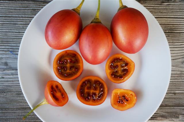 Tamarillo Fruits Tree Tomatoes