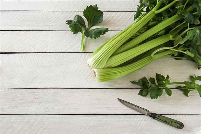 Celery
