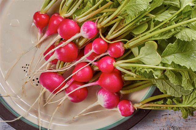 Fresh Radish With Leaves On Plate