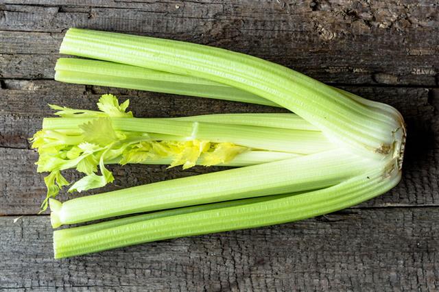 Fresh Vegetable Celery Leaves